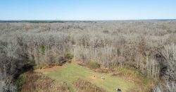 Beechwood Flint River Farm