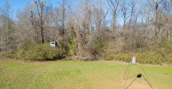 Beechwood Flint River Farm