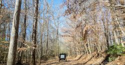 Beechwood Flint River Farm