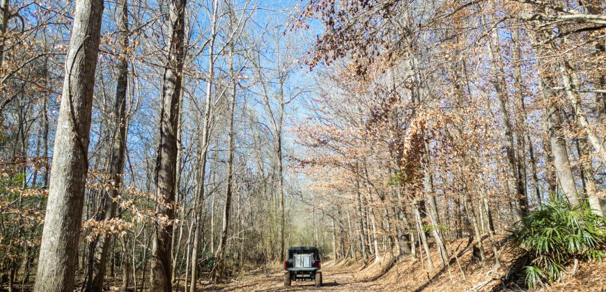 Beechwood Flint River Farm