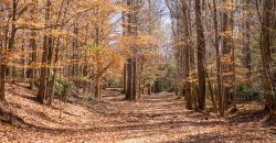 Beechwood Flint River Farm