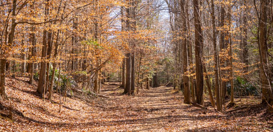 Beechwood Flint River Farm