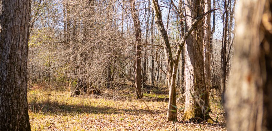 Beechwood Flint River Farm