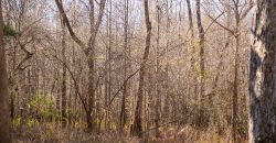 Beechwood Flint River Farm