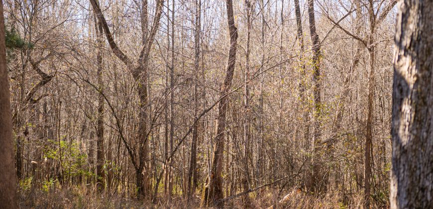 Beechwood Flint River Farm
