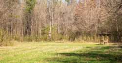Beechwood Flint River Farm