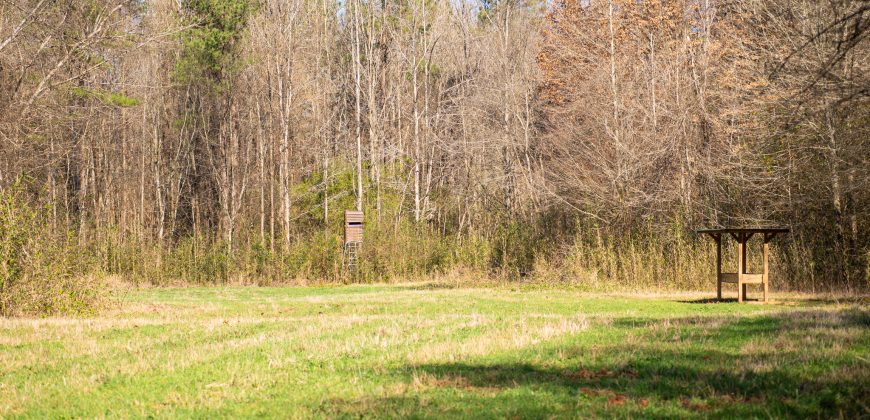 Beechwood Flint River Farm