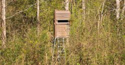 Beechwood Flint River Farm