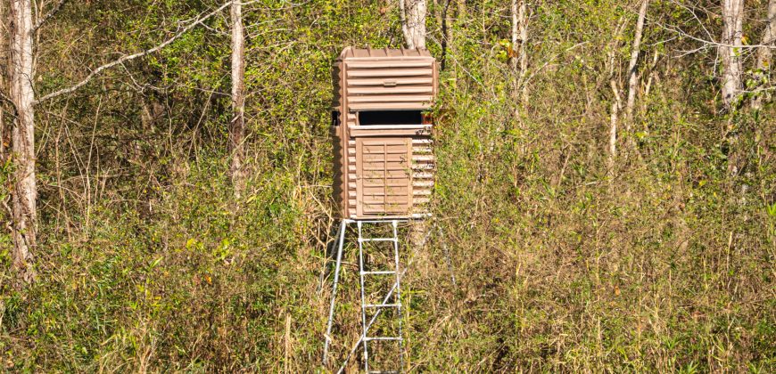 Beechwood Flint River Farm
