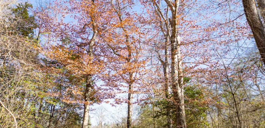 Beechwood Flint River Farm