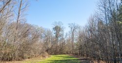 Beechwood Flint River Farm