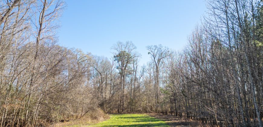 Beechwood Flint River Farm