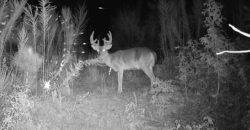 Dodge County Sanctuary