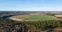Kinchafoonee Creek Irrigated Farm