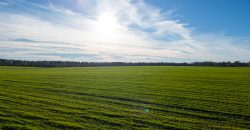 Kinchafoonee Creek Irrigated Farm