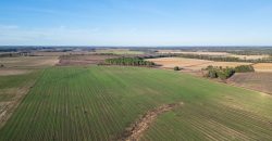 Kinchafoonee Creek Irrigated Farm