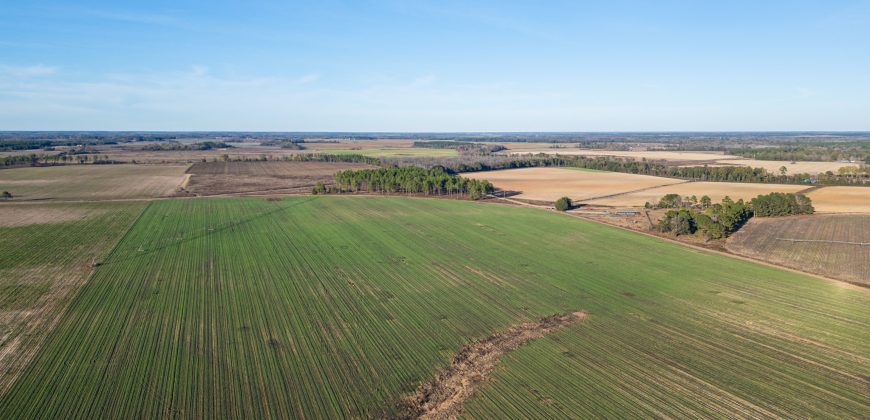 Kinchafoonee Creek Irrigated Farm