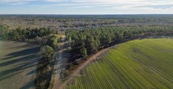 Kinchafoonee Creek Irrigated Farm