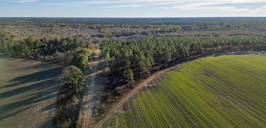 Kinchafoonee Creek Irrigated Farm