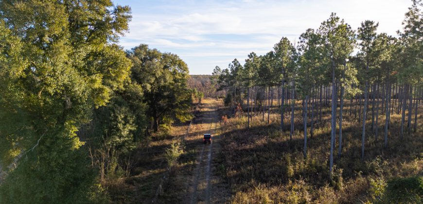 Kinchafoonee Creek Irrigated Farm
