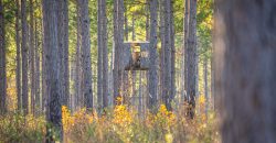 Kinchafoonee Creek Irrigated Farm