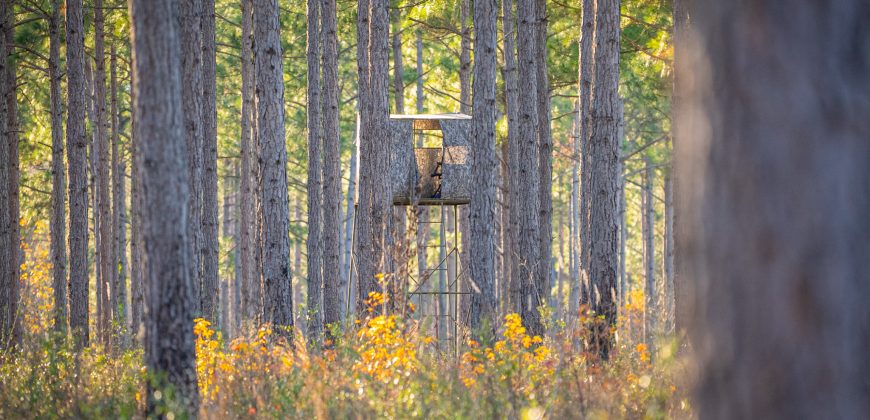 Kinchafoonee Creek Irrigated Farm