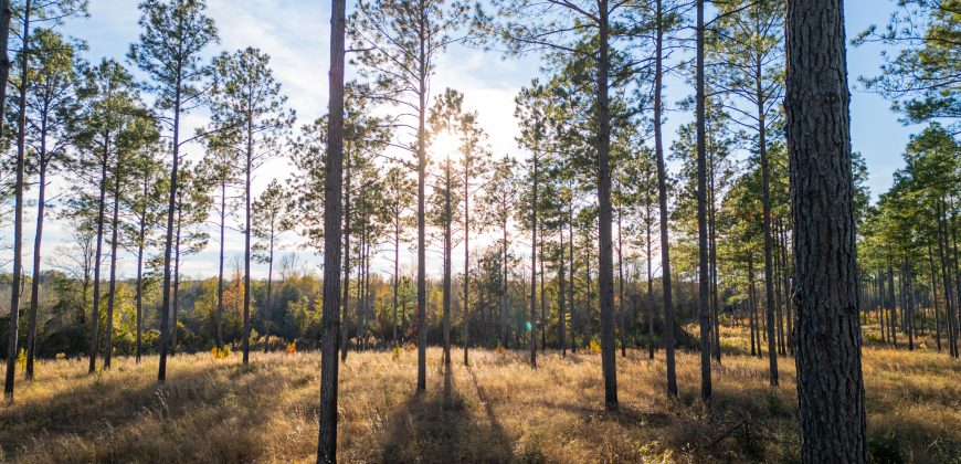 Kinchafoonee Creek Irrigated Farm