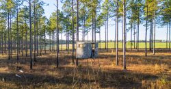 Kinchafoonee Creek Irrigated Farm