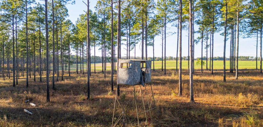 Kinchafoonee Creek Irrigated Farm