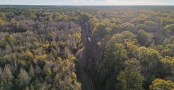 Kinchafoonee Creek Irrigated Farm