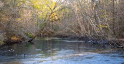 Kinchafoonee Creek Irrigated Farm