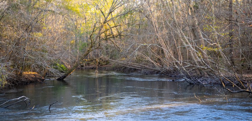 Kinchafoonee Creek Irrigated Farm