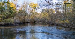 Kinchafoonee Creek Irrigated Farm