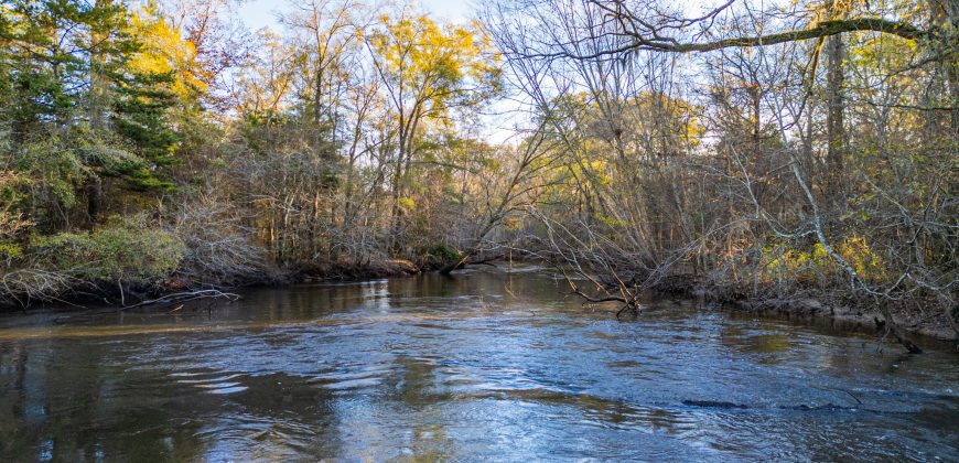 Kinchafoonee Creek Irrigated Farm