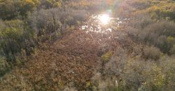 Kinchafoonee Creek Irrigated Farm
