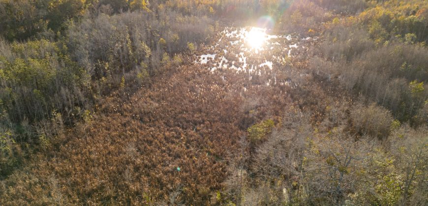 Kinchafoonee Creek Irrigated Farm