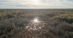 Kinchafoonee Creek Irrigated Farm