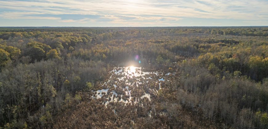 Kinchafoonee Creek Irrigated Farm