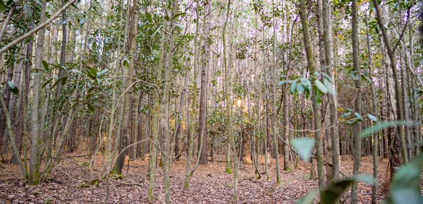 Kinchafoonee Creek Irrigated Farm