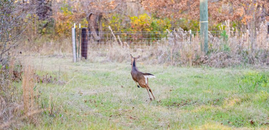 Kinchafoonee Creek Irrigated Farm