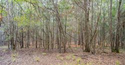 Kinchafoonee Creek Irrigated Farm