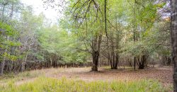 Kinchafoonee Creek Irrigated Farm