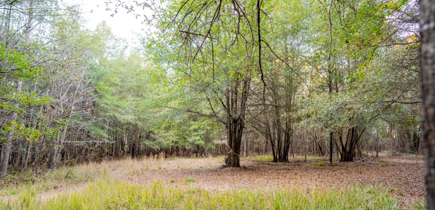Kinchafoonee Creek Irrigated Farm