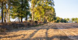 Kinchafoonee Creek Irrigated Farm