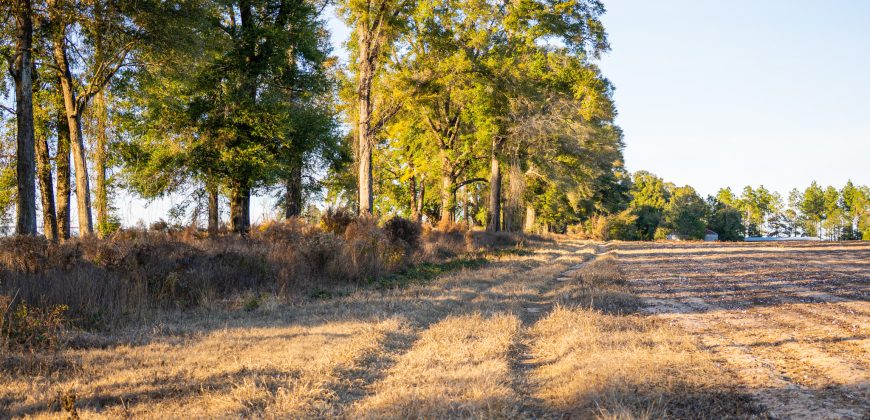 Kinchafoonee Creek Irrigated Farm