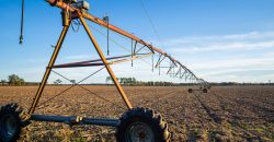 Kinchafoonee Creek Irrigated Farm