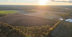 Kinchafoonee Creek Irrigated Farm
