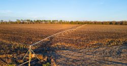 Kinchafoonee Creek Irrigated Farm