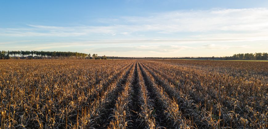 Kinchafoonee Creek Irrigated Farm