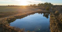 Kinchafoonee Creek Irrigated Farm